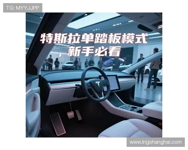 特斯拉郁闷！详解新国标意见稿：单踏板、屏幕换挡将被禁用